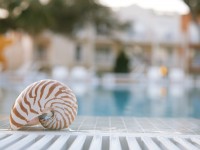 Eget Tellus Non Erat