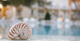 Eget Tellus Non Erat