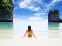 Sed blandit massa vel