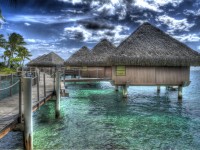 Interdum Vitae Dapibus Ac